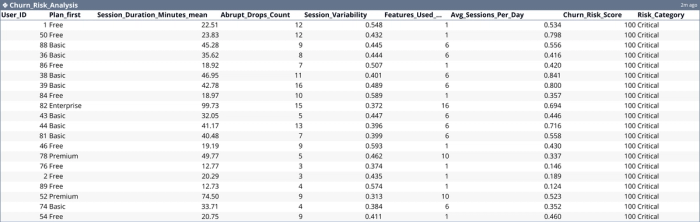 Output of churn risks by user in Quadratic.