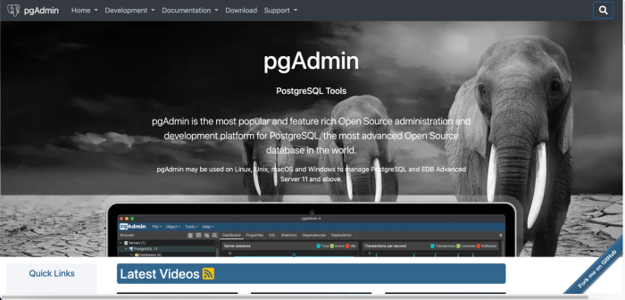 pgAdmin homepage.