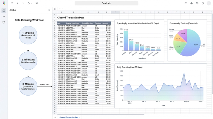A central data table with clean merchant names, surrounded by three charts: a bar chart, a pie chart, and a line chart, demonstrating multi-faceted analysis.