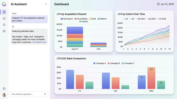 A clean dashboard with four distinct charts comparing customer lifetime value. Charts display LTV by marketing channel, cohort performance over time, and the LTV to CAC ratio.