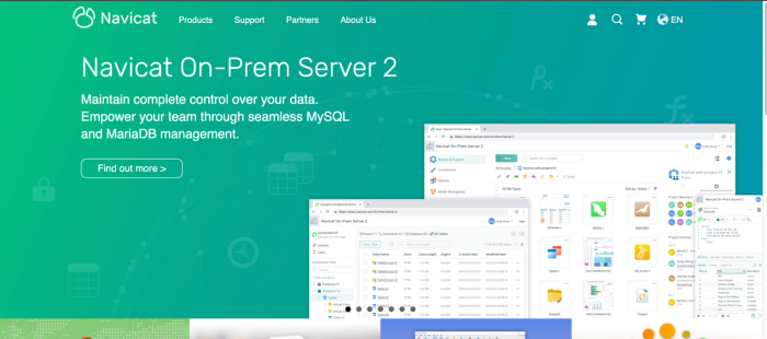 Navicat database query tool.