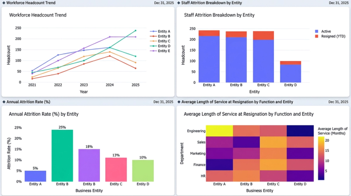 A clean dashboard displaying four charts that visualize human resources data, such as employee headcount and attrition rates across different departments or years.