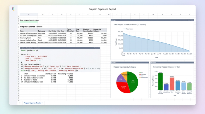 A central data table of prepaid expenses is surrounded by three charts visualizing the data from different perspectives, demonstrating a comprehensive financial overview.