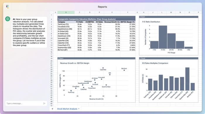 A central data table of company valuation metrics surrounded by three charts that visualize the data in different ways: a histogram, a scatter plot, and a bar chart.
