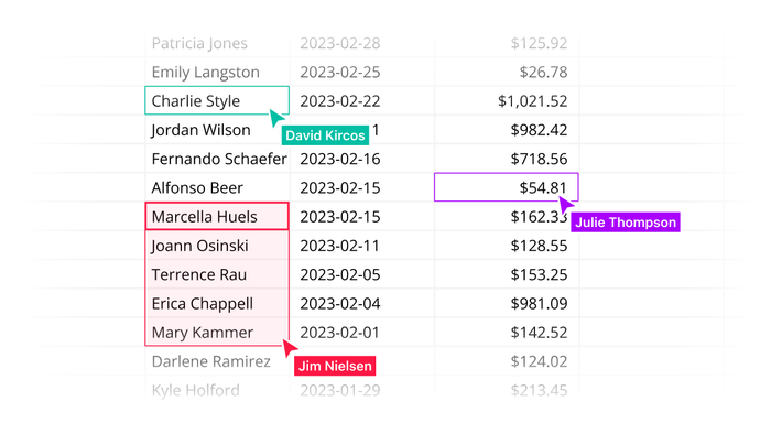 Multiple users in the same spreadsheet.