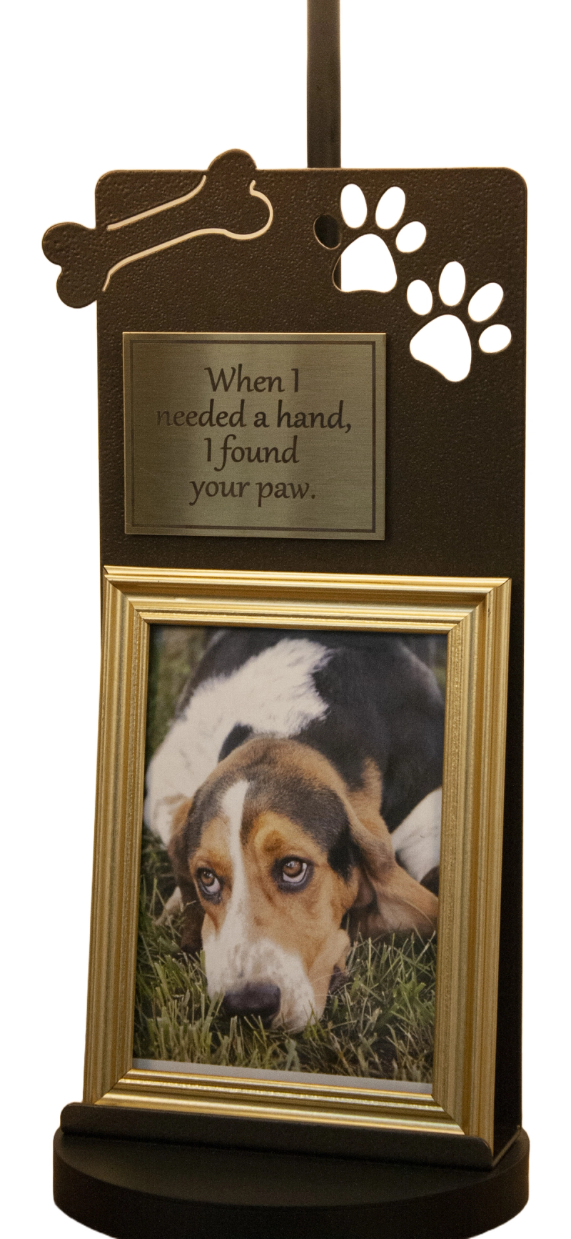 RL-1-0231-PET (1)