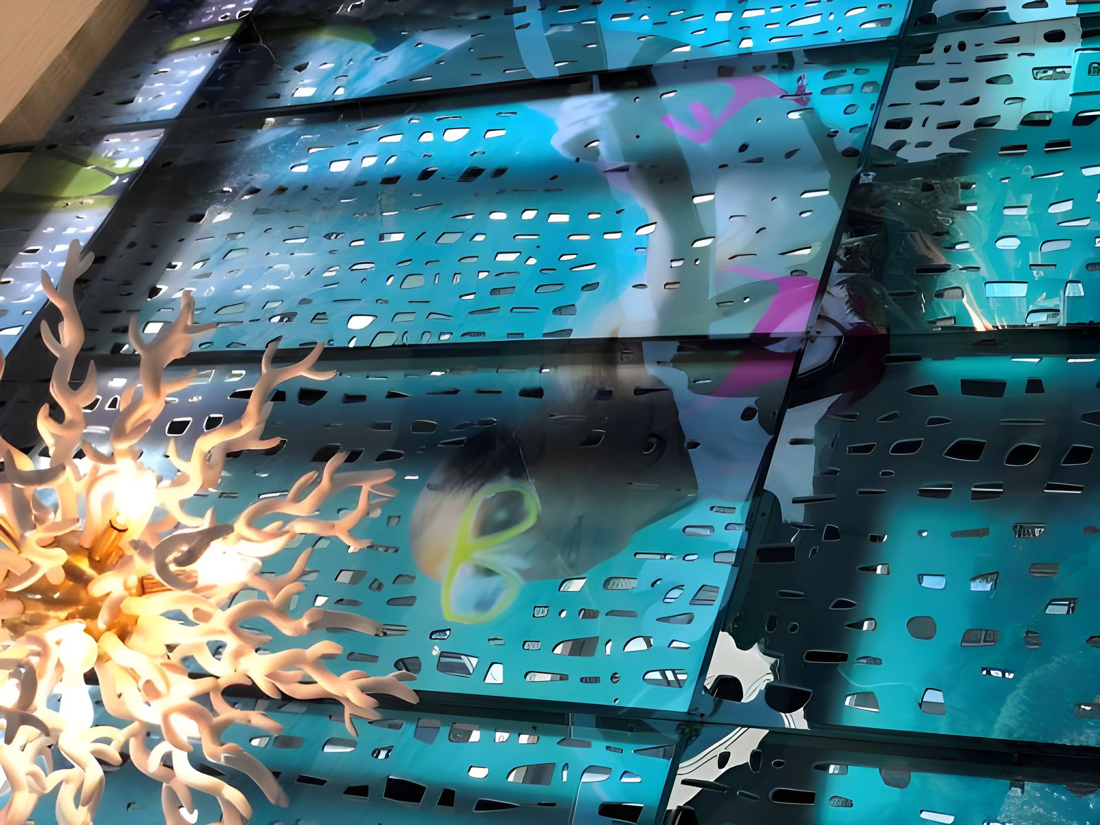 The Reef — photo 1