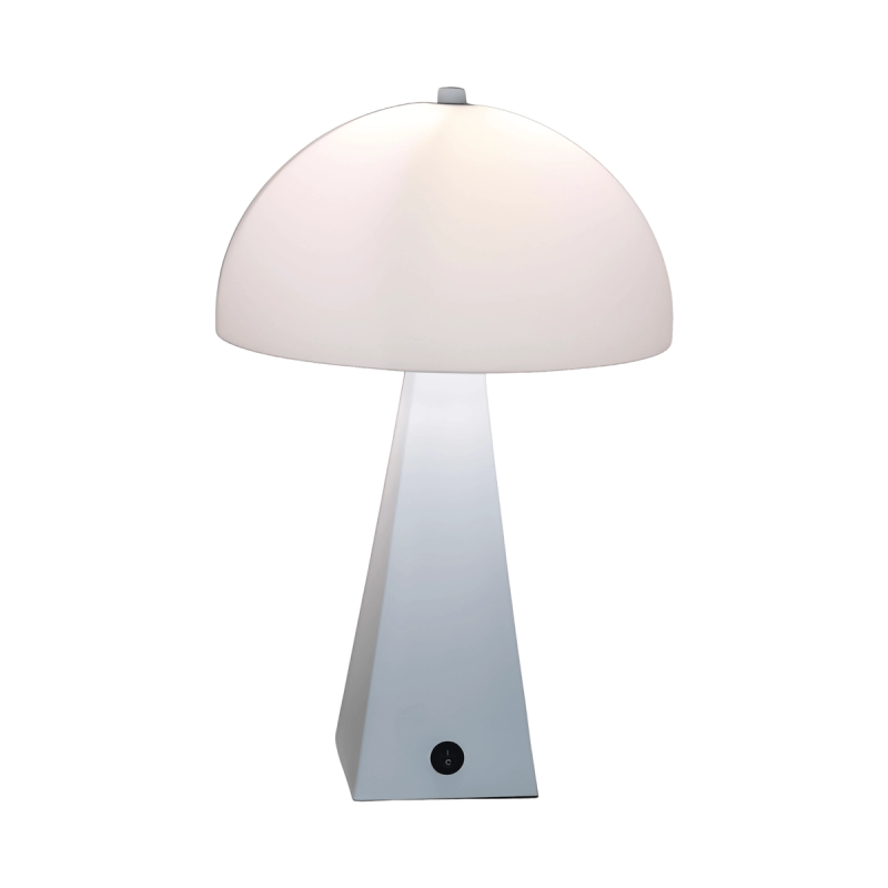 RL-1-0816-BD