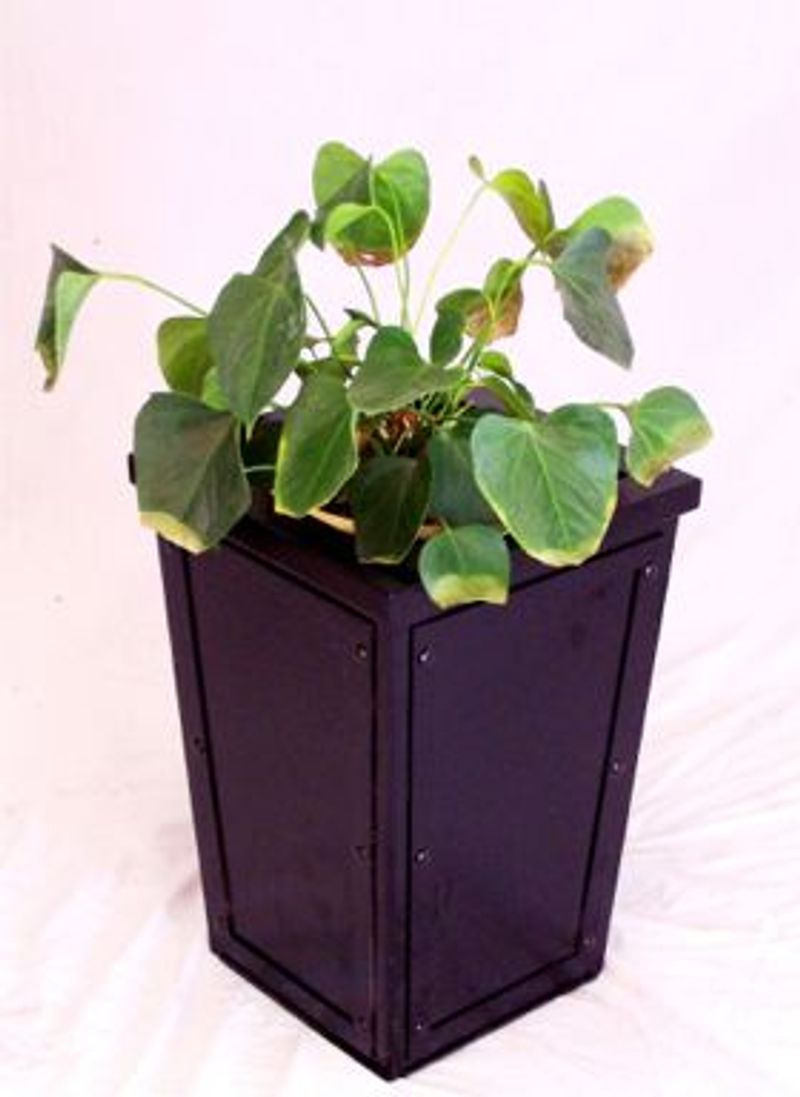 Petite Hilton Planter