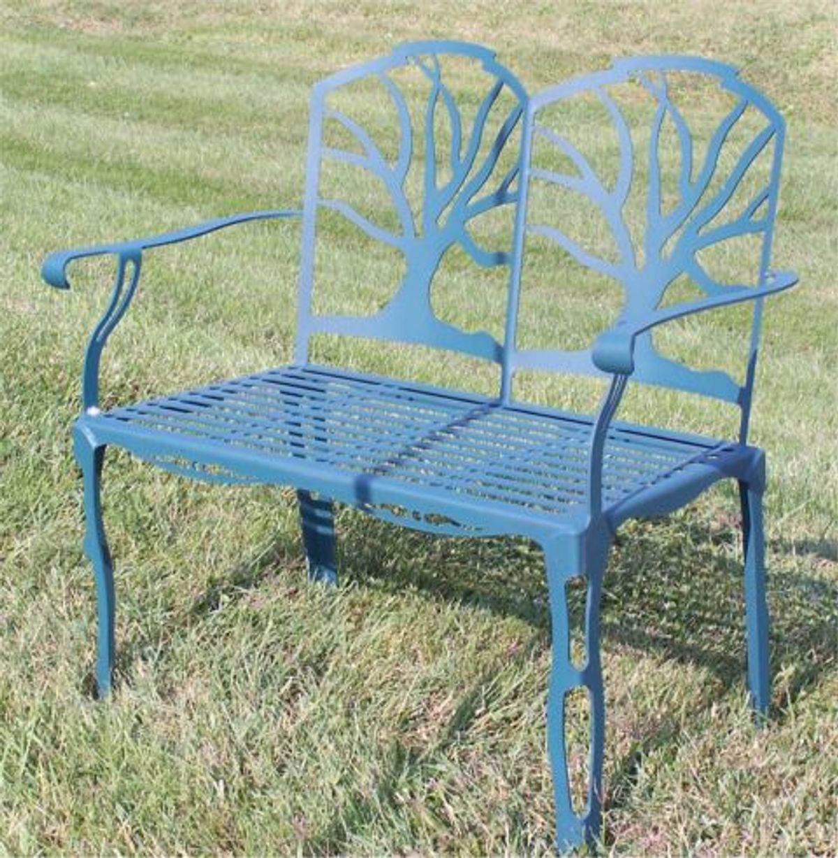 Live Oak Bench