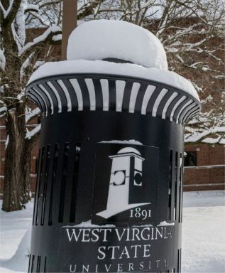 Custom WSU Trash Receptacle