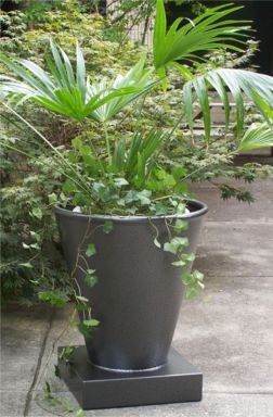 Caesar Planter