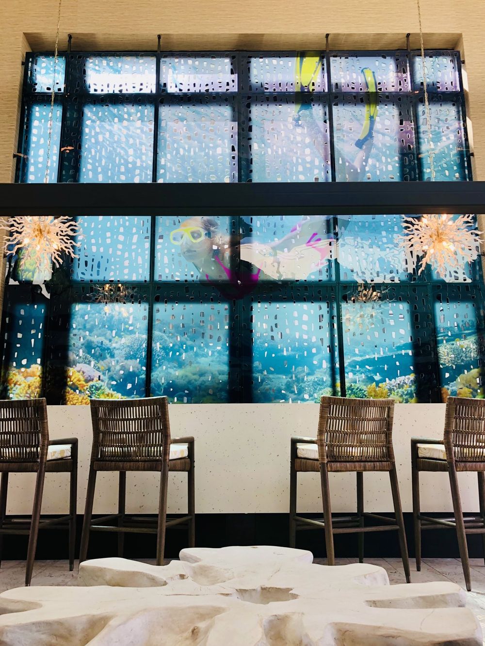 The Reef — photo 2
