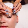 Lash and Brow Services