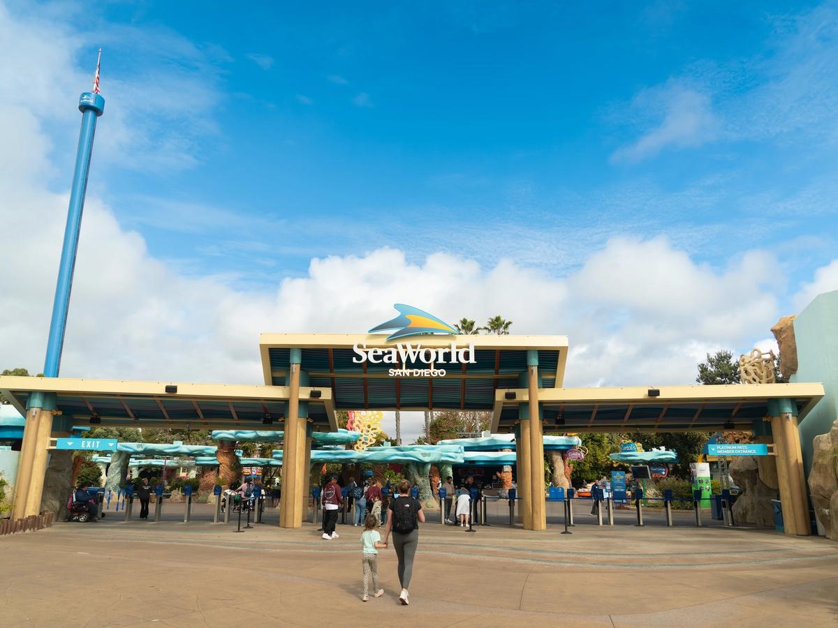Entrance to SeaWorld San Diego with its signature wave logo and colorful ocean décor. Families line up under blue skies, ready for a day full of marine life and thrilling rides.