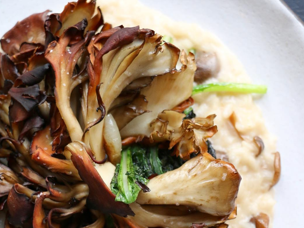 Close-up of crispy roasted maitake mushrooms served over a creamy mushroom risotto with wilted greens on a white plate.