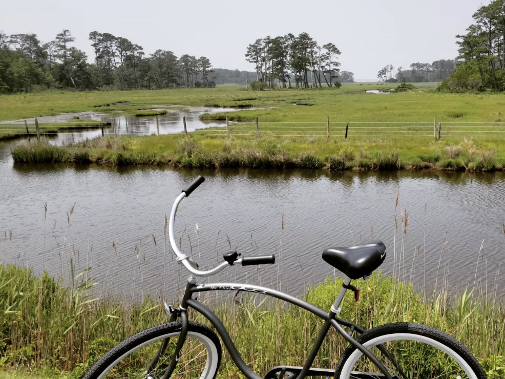 Cruiser bike on scenic marshland trail in Chincoteague Island, Virginia with winding waterways, lush greenery, and pine trees in the distance