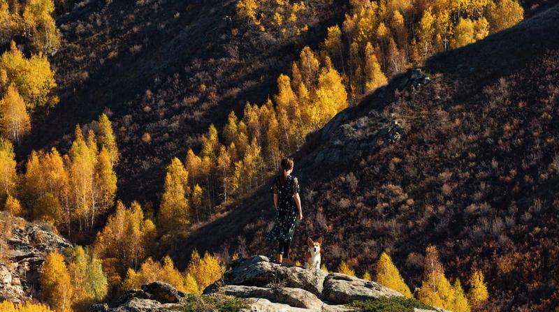 Your Comprehensive, Pet-Friendly Guide to Pigeon Forge and Gatlinburg