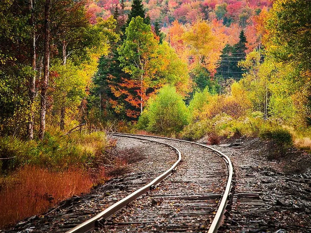 Blue Ridge Scenic Railway Train Tracks in the Fall