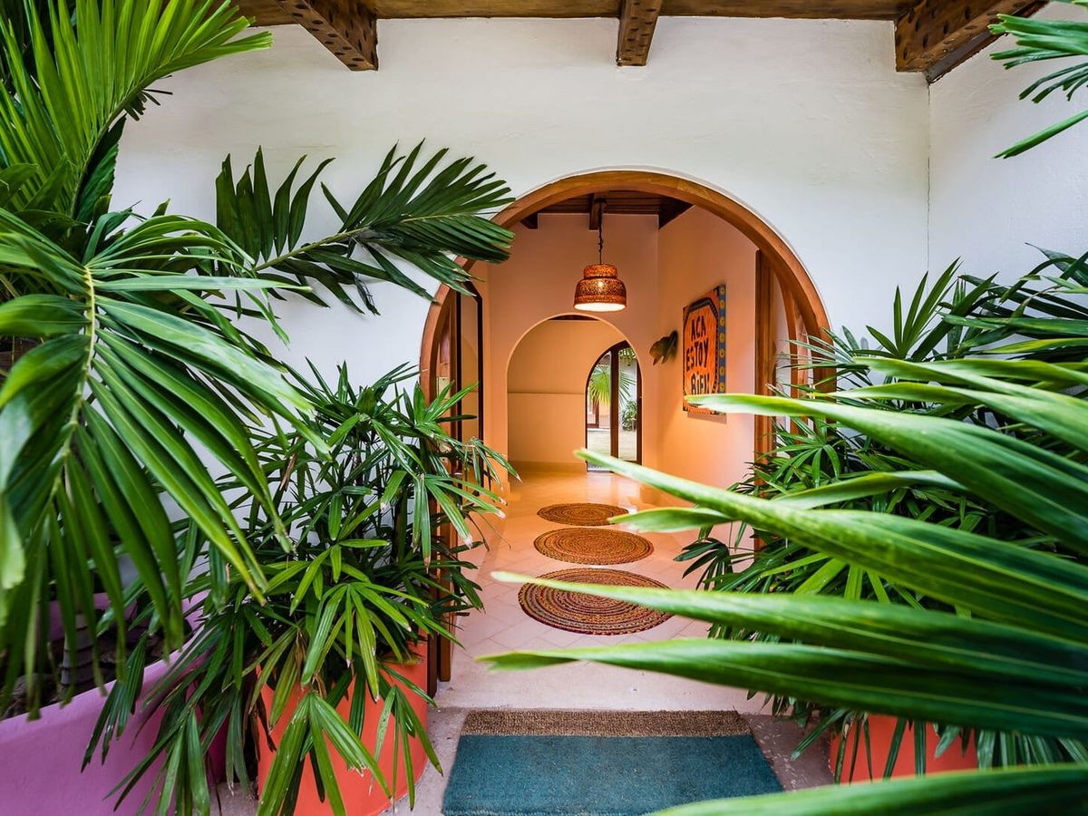 Tropical entranceway lined with lush green plants, leading through arched doorways into a bright, airy interior with woven rugs and warm decor
