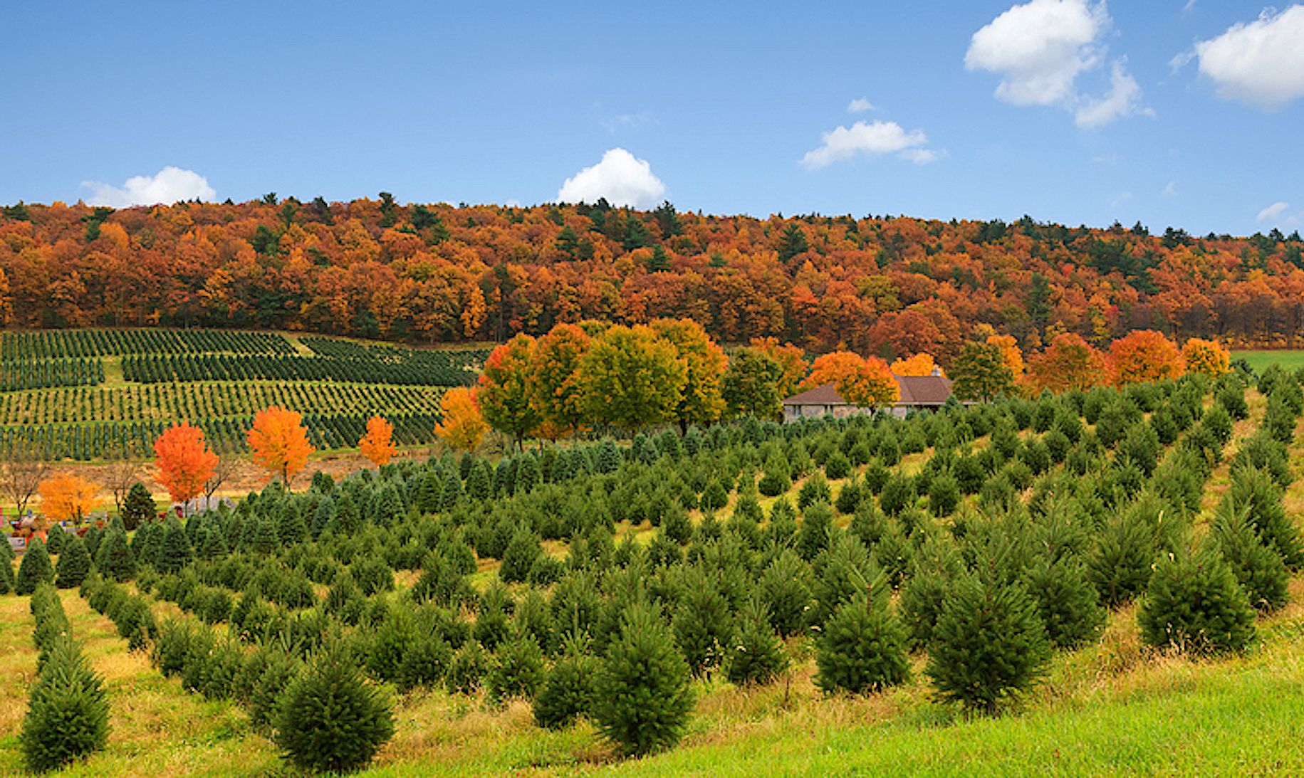 Why the Poconos Are The Perfect Vacation Destination For Every Season