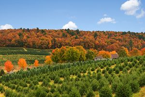 View of Fall Colors and Rolling Hills in the Poconos