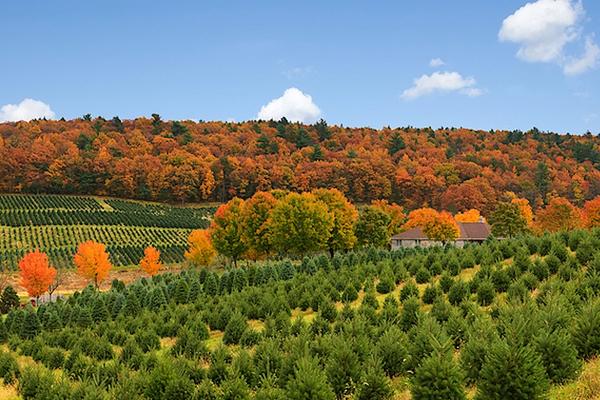 Why the Poconos Are The Perfect Vacation Destination For Every Season