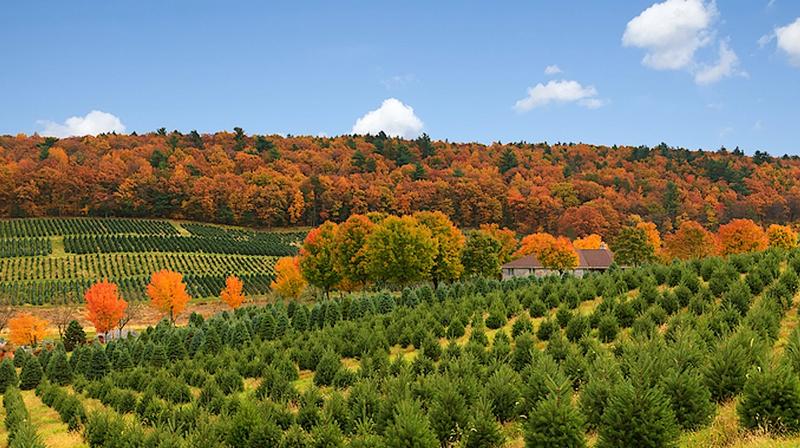 Why the Poconos Are The Perfect Vacation Destination For Every Season