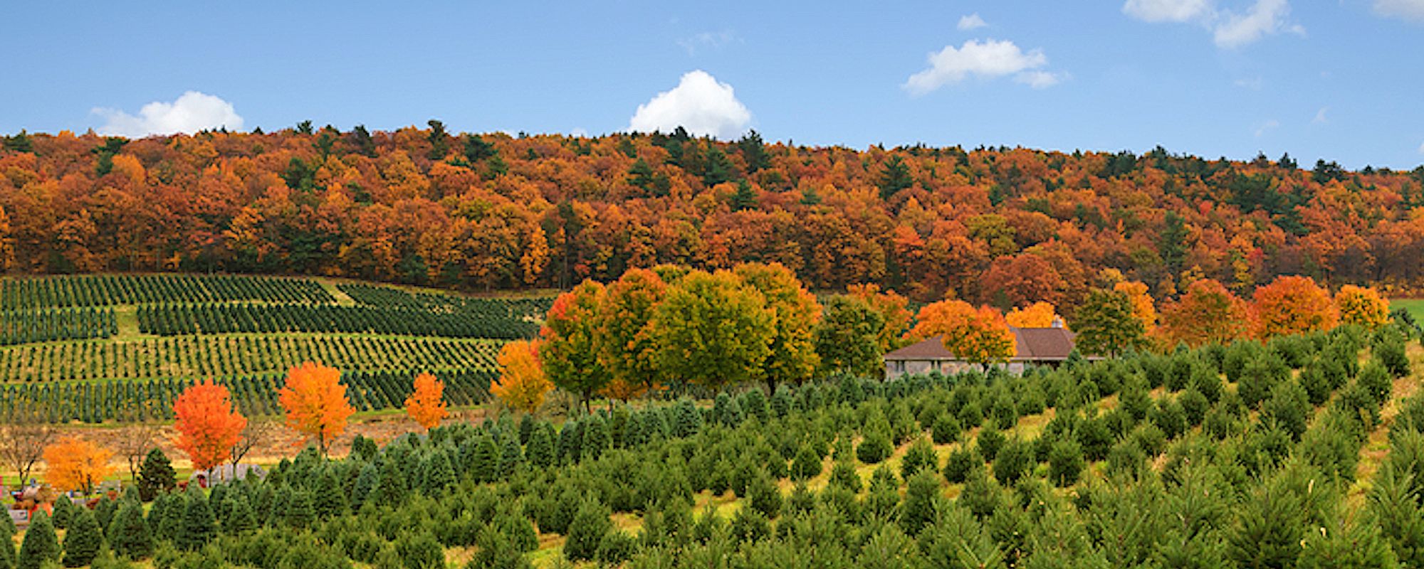 View of Fall Colors and Rolling Hills in the Poconos