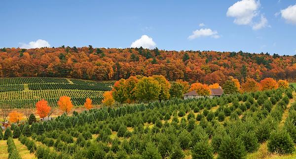 Why the Poconos Are The Perfect Vacation Destination For Every Season