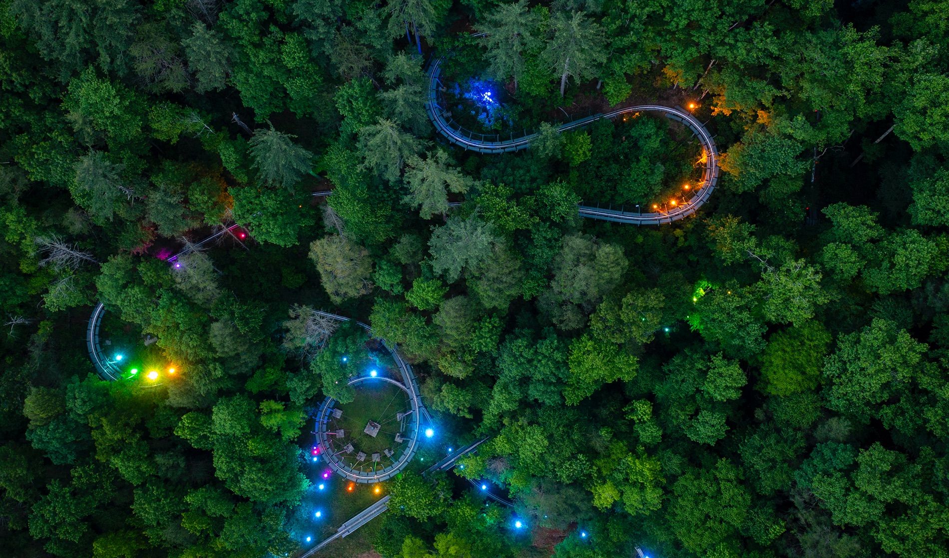 A colorful aerial view of the Moonshine Mountain Coaster lit up at night, weaving through the dense Smoky Mountain forest. Vibrant rainbow lights trace the track, creating a magical glow in the trees.