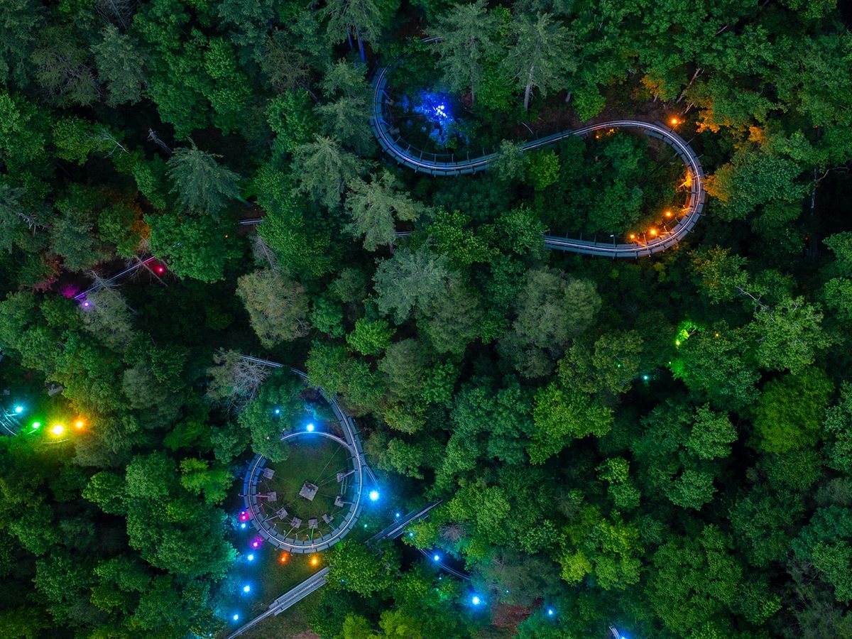 A colorful aerial view of the Moonshine Mountain Coaster lit up at night, weaving through the dense Smoky Mountain forest. Vibrant rainbow lights trace the track, creating a magical glow in the trees.