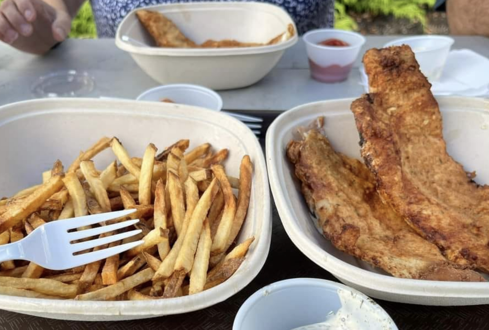 A casual outdoor meal of golden French fries and crispy fried fish served in compostable takeout containers, with tartar sauce and ketchup on the side.