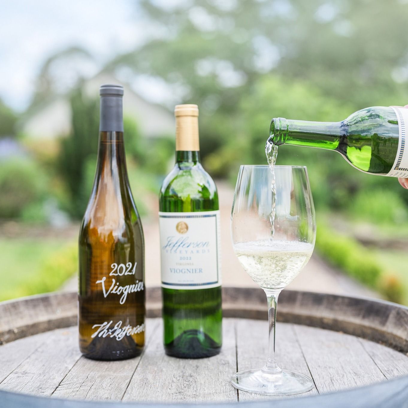 A crisp glass of white wine is poured beside bottles of Viognier at Jefferson Vineyards. The outdoor garden setting and bright natural light celebrate the elegance and freshness of Monticello’s wines.