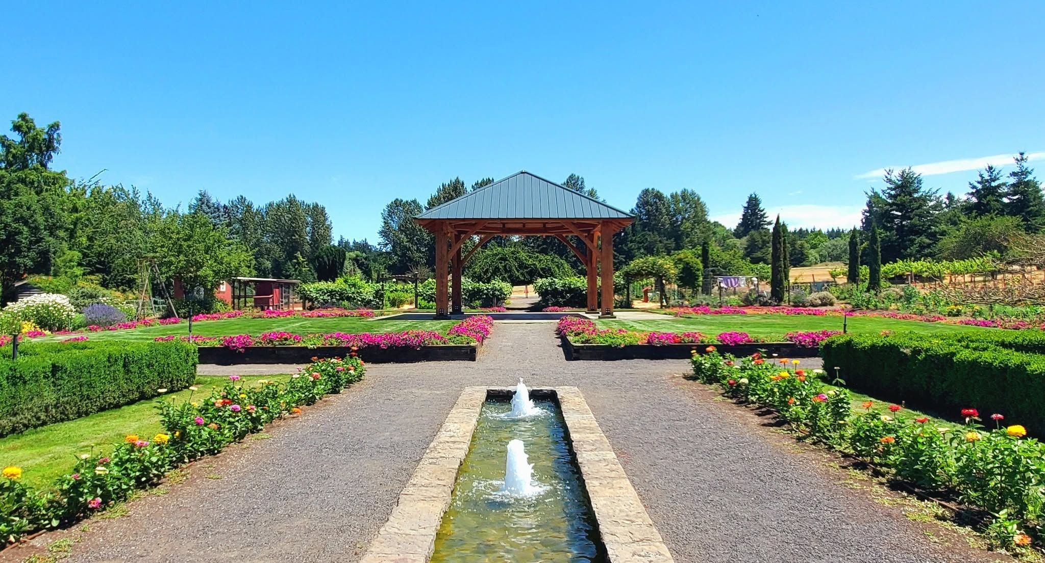 A long garden walkway leads to a wooden pavilion surrounded by colorful flower beds and neat hedges. Two small fountains add movement to the calm, sunny space. It’s a relaxing spot that shows the beauty of The Oregon Garden.