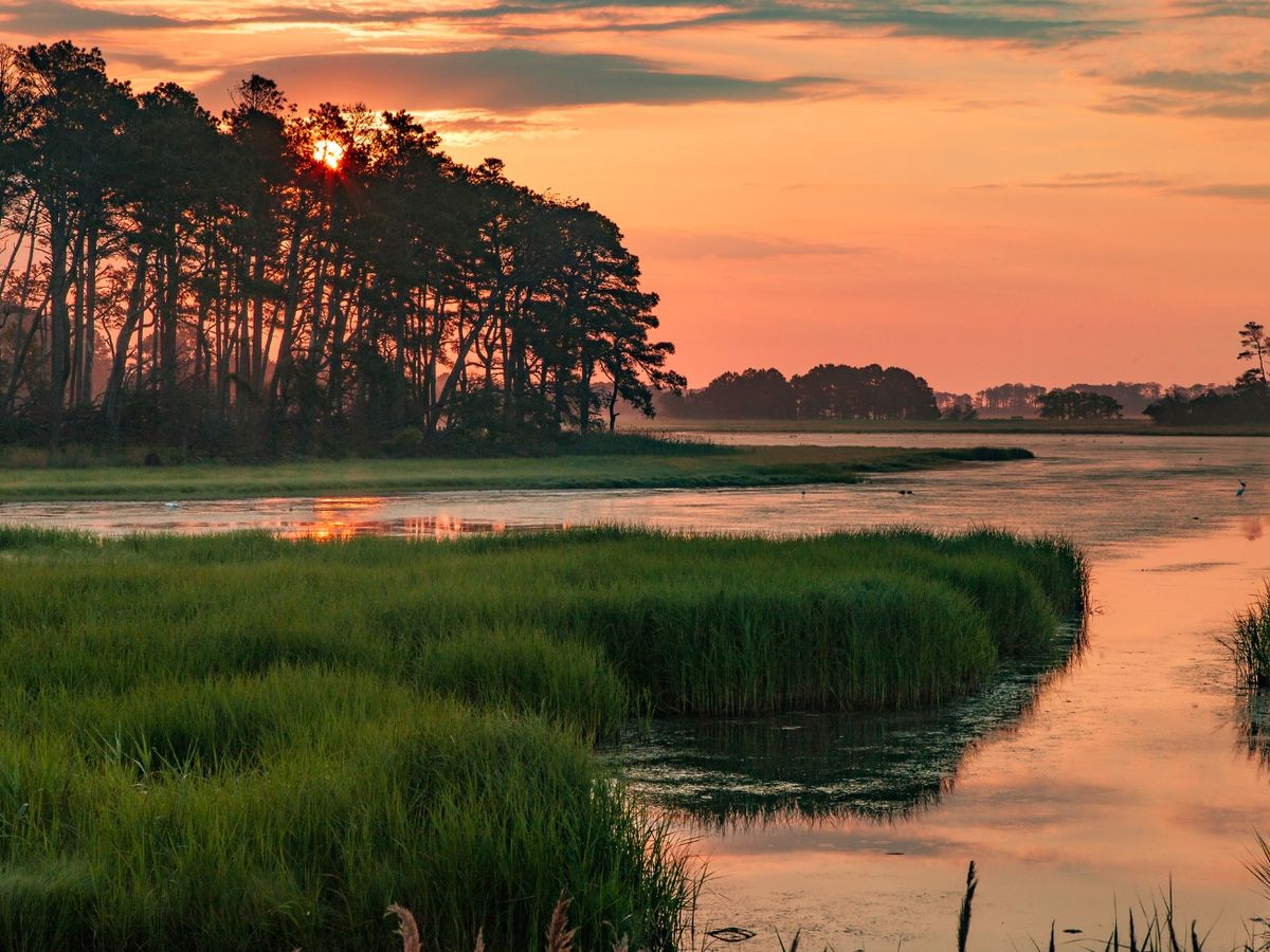 View of Marshland in Chincoteague, VA at Sunset