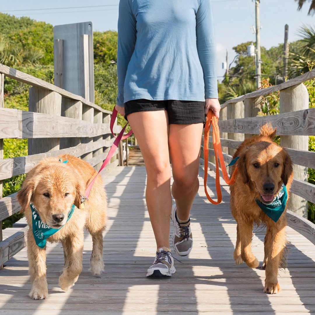 The Tides Folly Beach Hotel sits right on the sand, offering oceanfront rooms, a poolside view, and direct access to the famous pier.