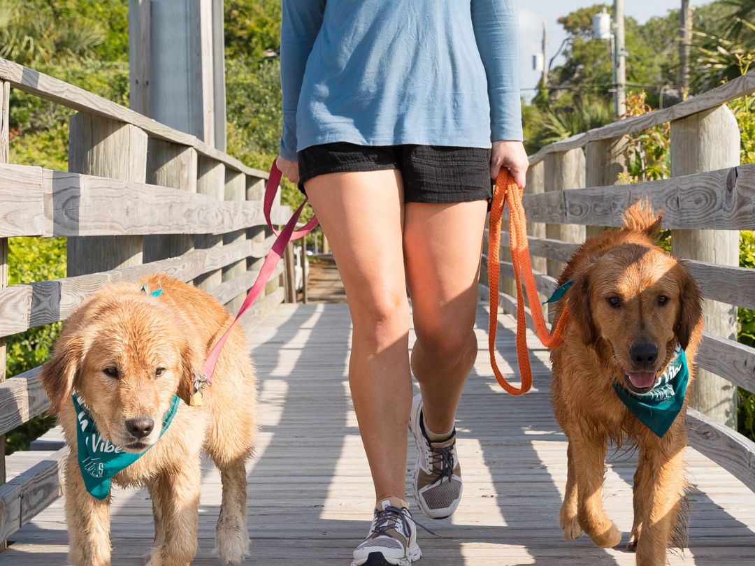 The Tides Folly Beach Hotel sits right on the sand, offering oceanfront rooms, a poolside view, and direct access to the famous pier.