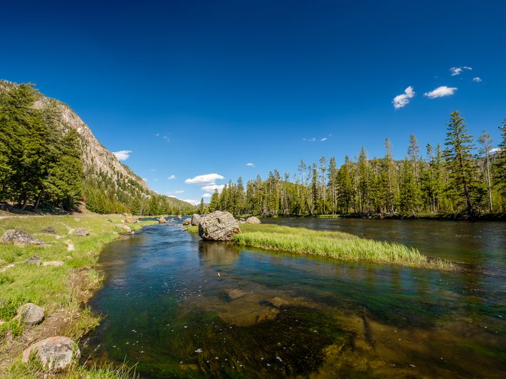 Madison River near West Yellowstone, MT