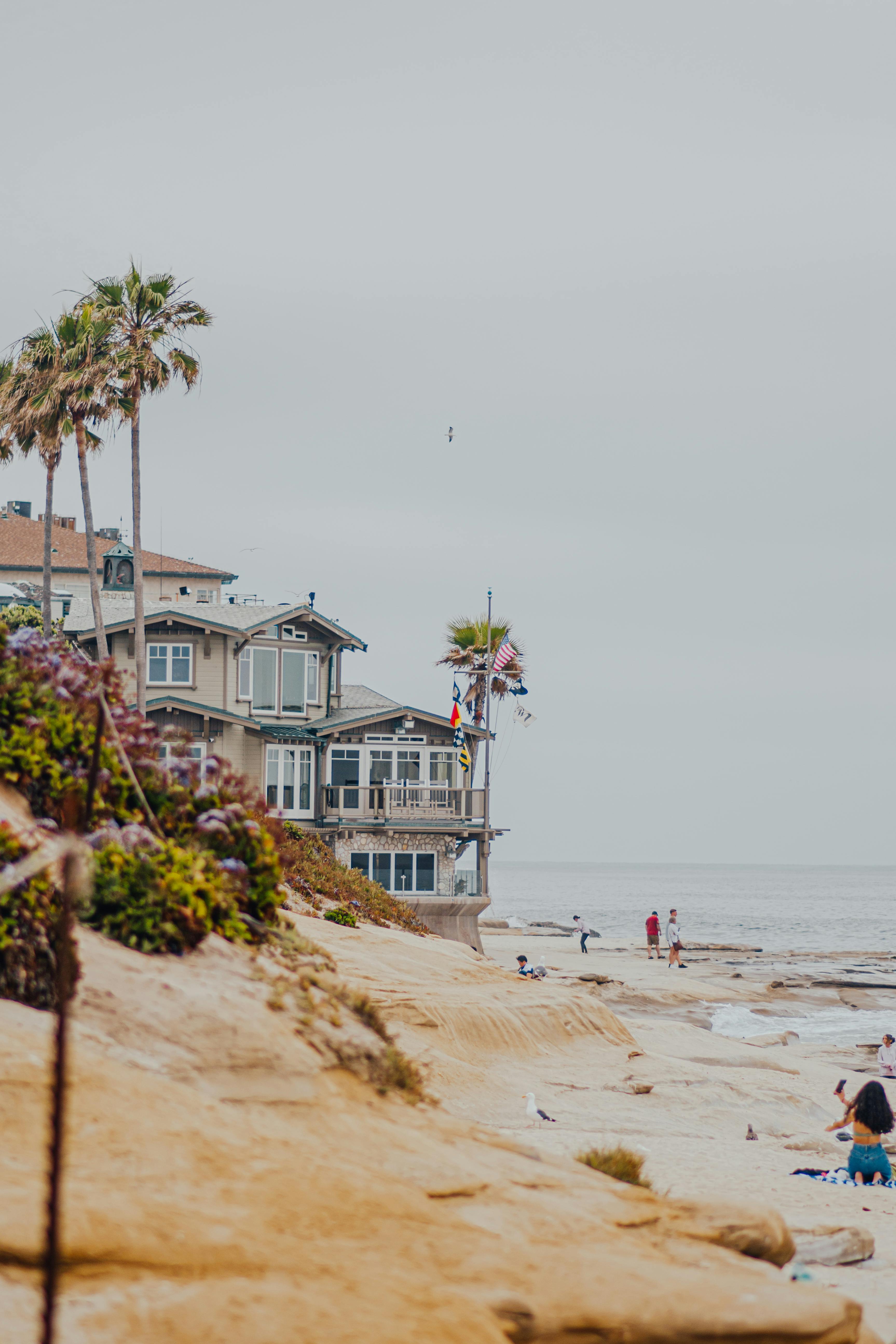Beachfront homes and palm trees overlook a sandy shoreline where people walk and relax by the ocean in San Diego. This calm coastal scene reflects the laid-back, dog-friendly atmosphere found at many San Diego beaches.