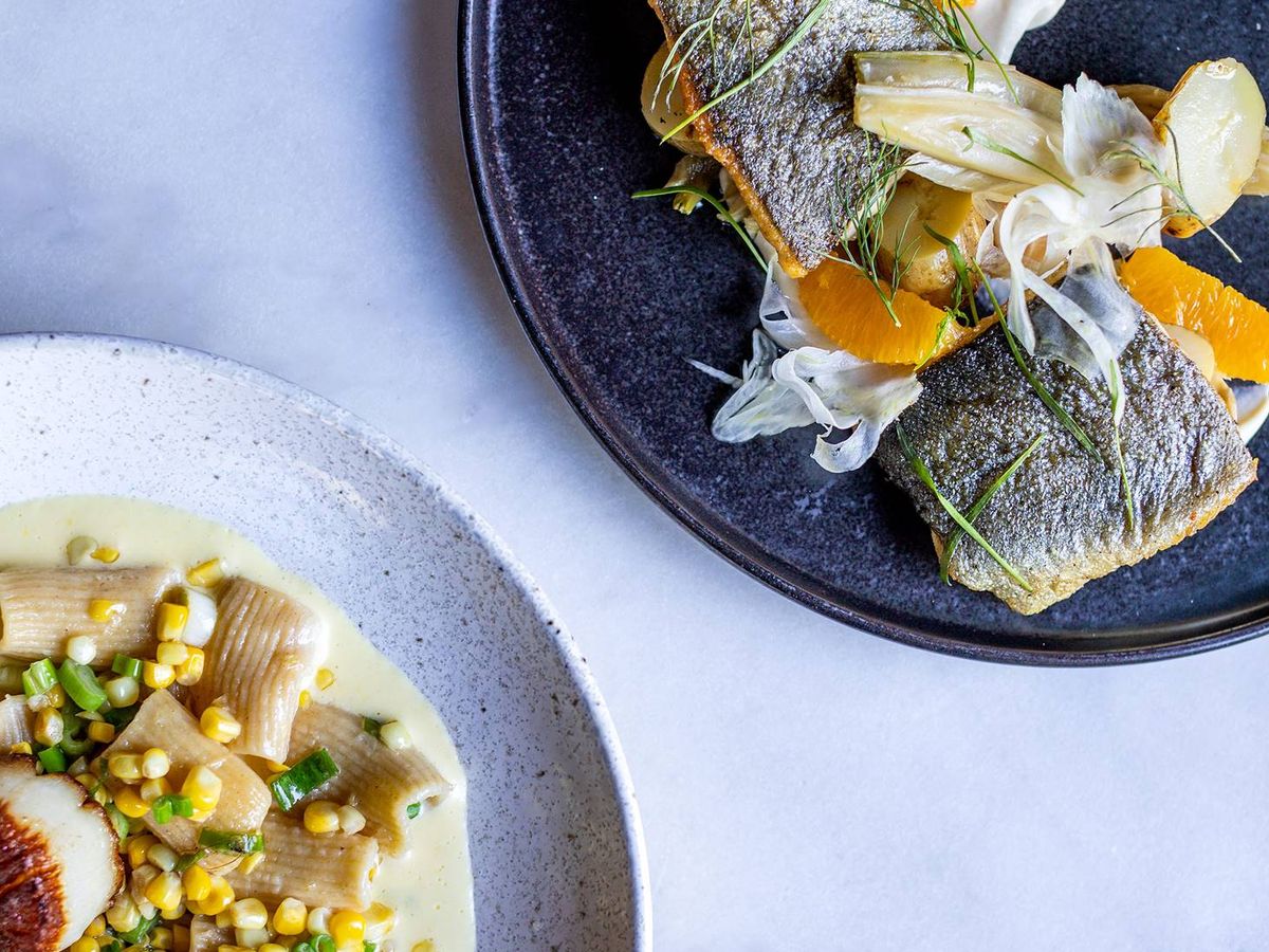 A beautifully plated gourmet meal featuring pan-seared North Carolina trout with crispy skin, accompanied by fennel, orange slices, and potatoes on a dark plate. Beside it, a dish of seared scallops with rigatoni, fresh corn, and a creamy sauce on a speckled white plate, showcasing vibrant colors and textures.