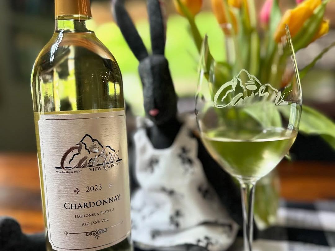 A bottle of Cairn View Chardonnay sits beside a glass of white wine on a cozy table with fresh tulips in the background. The setup feels warm and homelike, perfect for a quiet tasting moment. It captures a simple but charming wine experience.