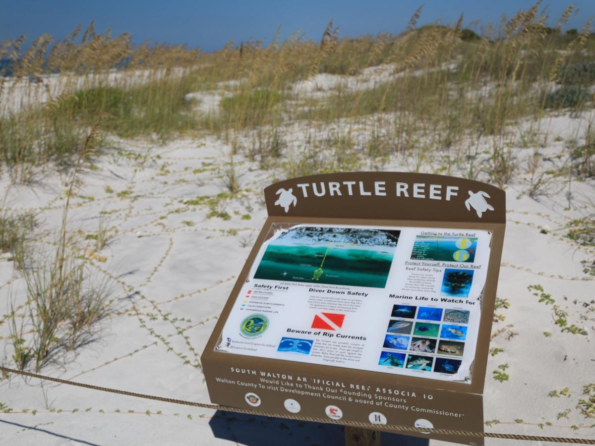 A brown Turtle Reef sign stands on soft white sand dunes, providing safety tips and marine life information. Surrounded by sea oats and native plants, it guides visitors on how to enjoy the reef responsibly while protecting the environment.