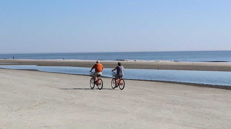 Make Memories and Photos with 8 Can't-Miss Family Activities in Hilton Head