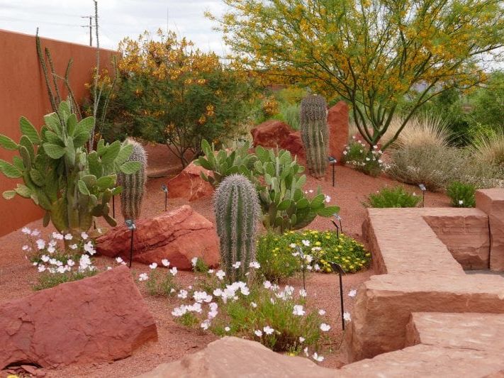 Colorful cacti, flowering plants, and desert landscaping fill Utah’s first interactive desert garden, a peaceful spot to learn about native species.