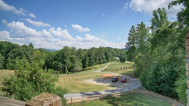 9 Top-Rated Wineries in Georgia's Mountains