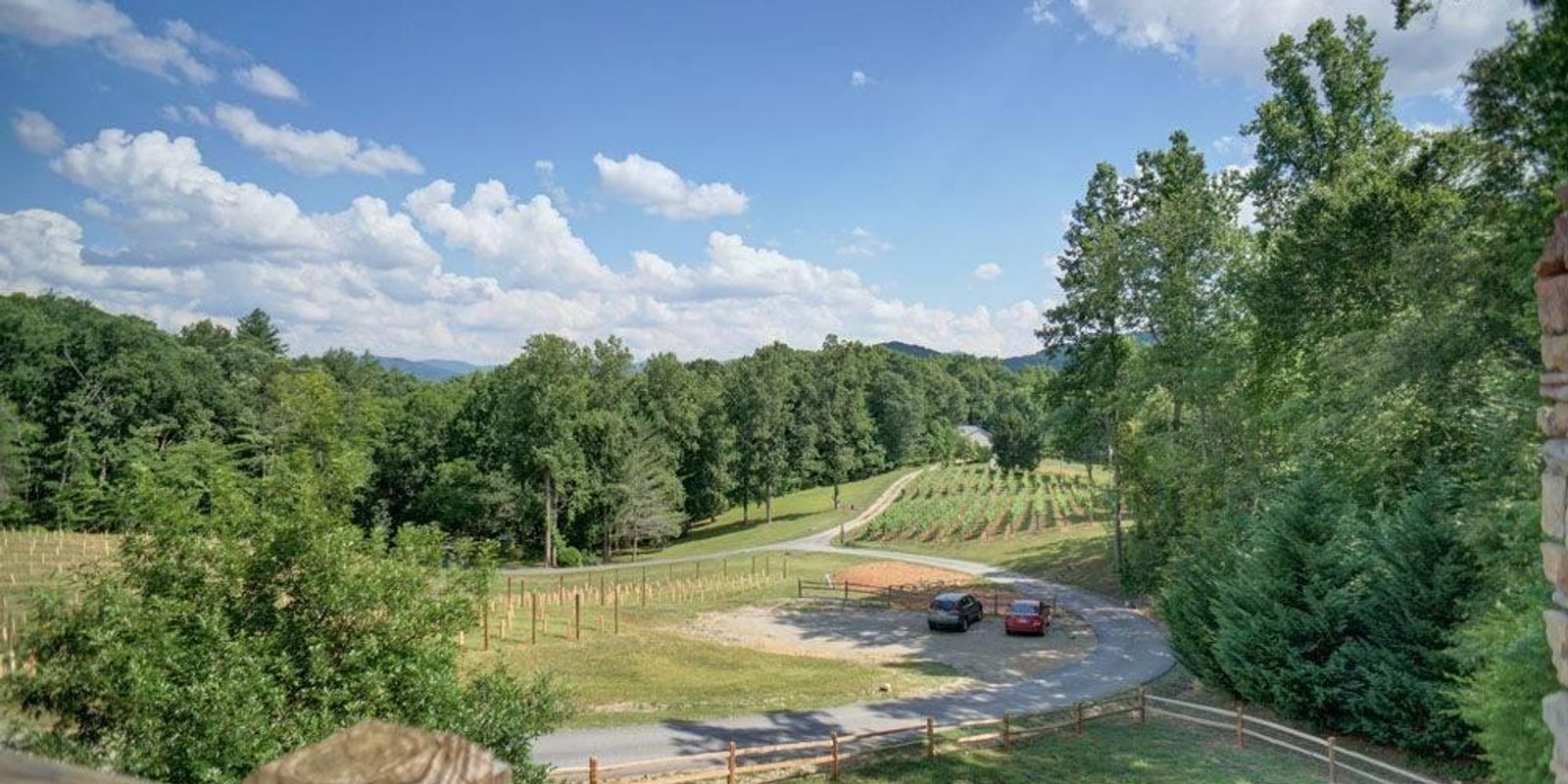 9 Top-Rated Wineries in Georgia's Mountains