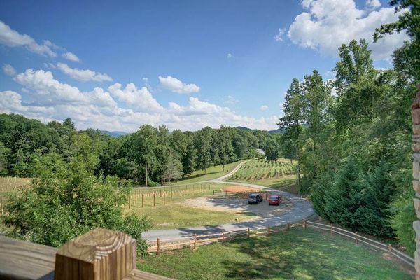 9 Top-Rated Wineries in Georgia's Mountains