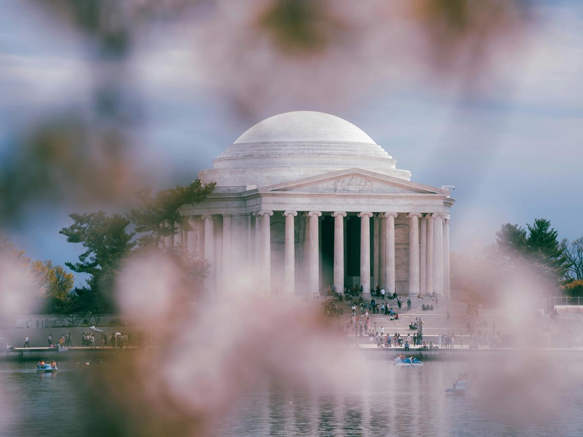 Exterior of Jefferson monument with cherry blossoms covering the lens in D.C.