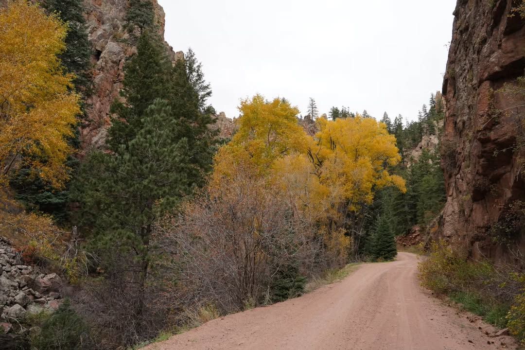Overlooking a vibrant mountain town, this scenic view captures steep forested slopes and rugged peaks. The wooden bench at the overlook invites visitors to pause and take in the beauty of Telluride’s alpine valley.